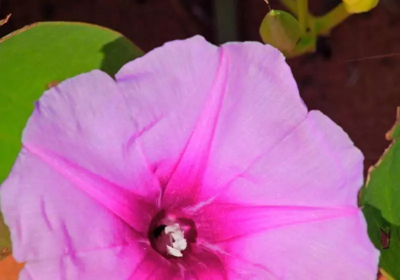 Отель Kooljaman