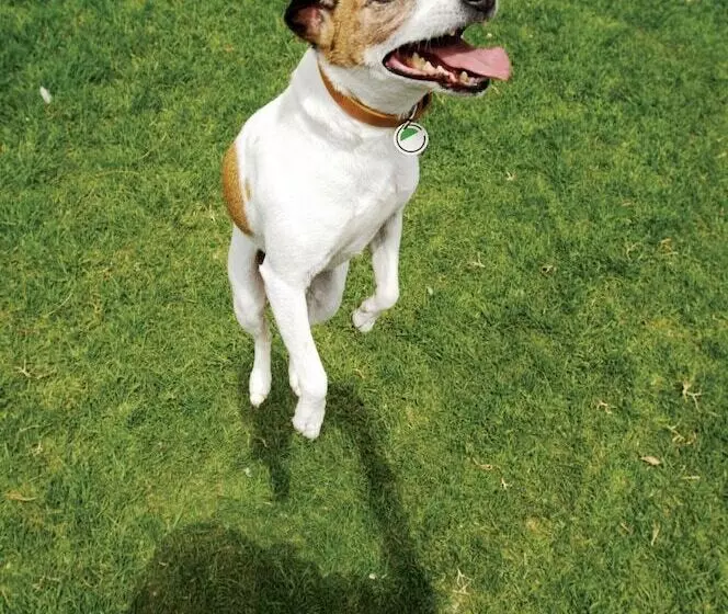 酒店 Element Miami International Airport