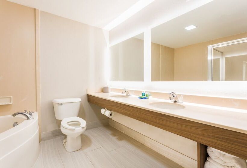 Отель Holiday Inn Express   Plymouth, An Ihg