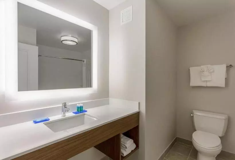 בית מלון כפרי Holiday Inn Express & Suites Vandalia, An Ihg