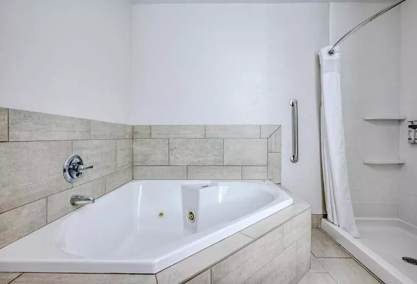 בית מלון כפרי Holiday Inn Express & Suites Vandalia, An Ihg