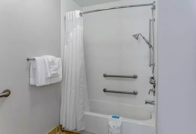 בית מלון כפרי Holiday Inn Express & Suites Vandalia, An Ihg