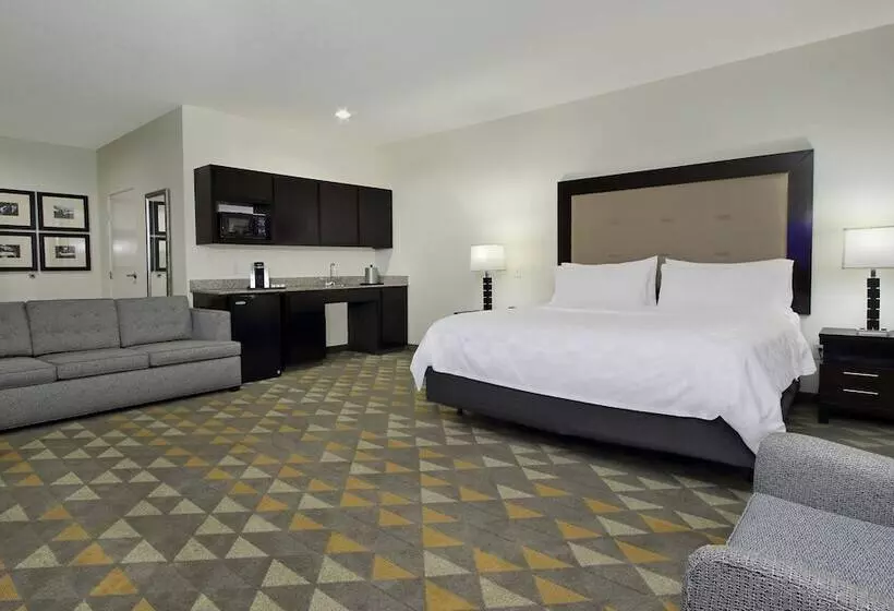 酒店 Holiday Inn Hammond, An Ihg