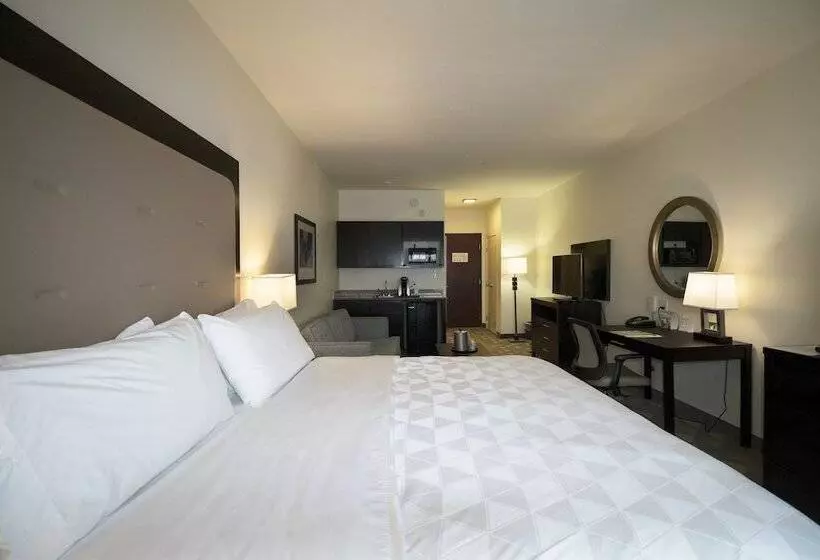 酒店 Holiday Inn Hammond, An Ihg