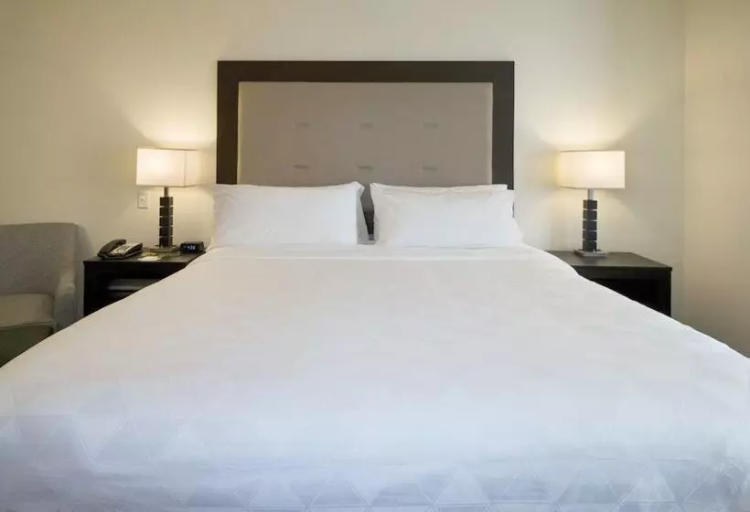 酒店 Holiday Inn Hammond, An Ihg