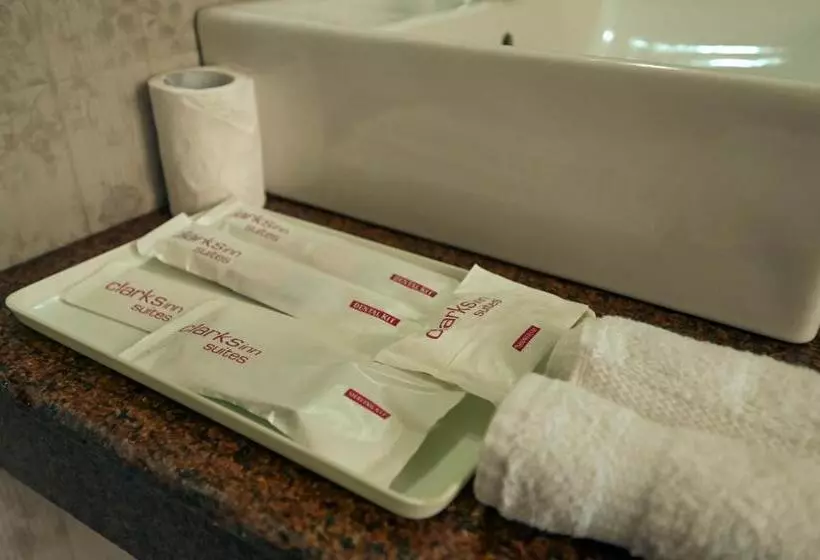 リゾートホテル Clarksinn Suites Ranthambhore