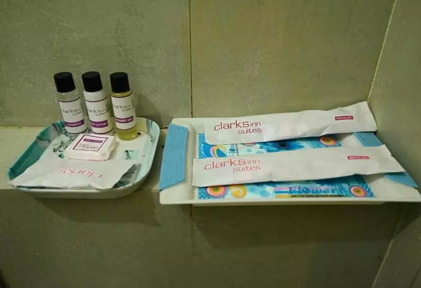 リゾートホテル Clarksinn Suites Ranthambhore