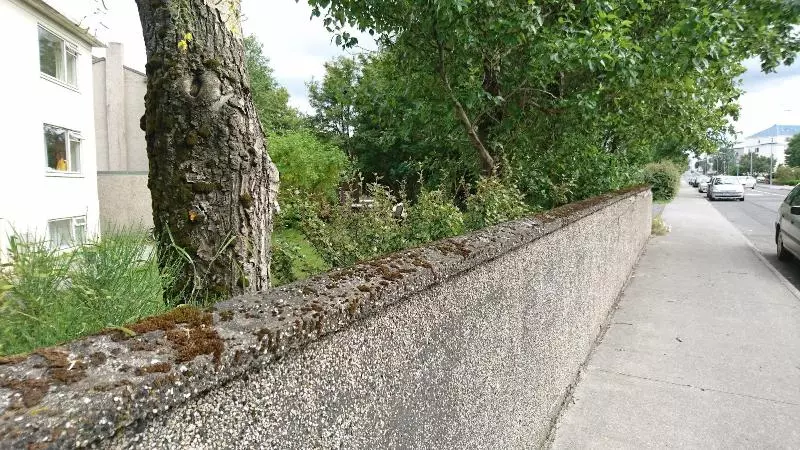 민박 Alba Guesthouse