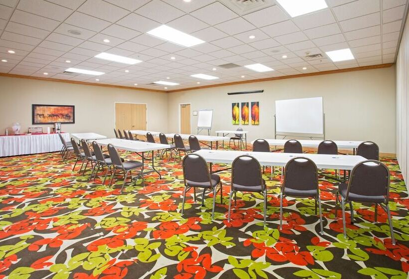 Holiday Inn Express Hotel & Suites Lexington, An Ihg