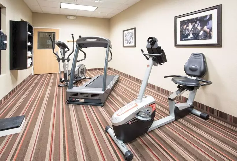 Holiday Inn Express Hotel & Suites Lexington, An Ihg