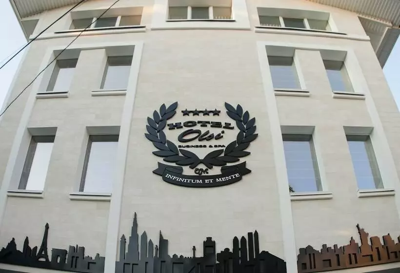 هتل Pensiune Turistica Olsi