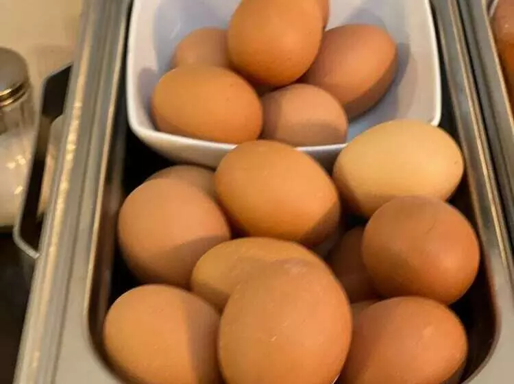 هتل Pensiune Turistica Olsi