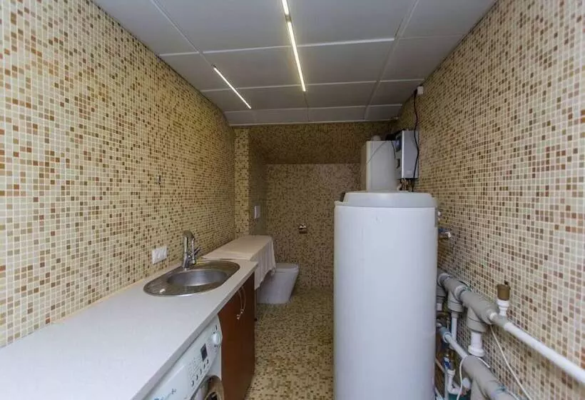 هتل Pensiune Turistica Olsi