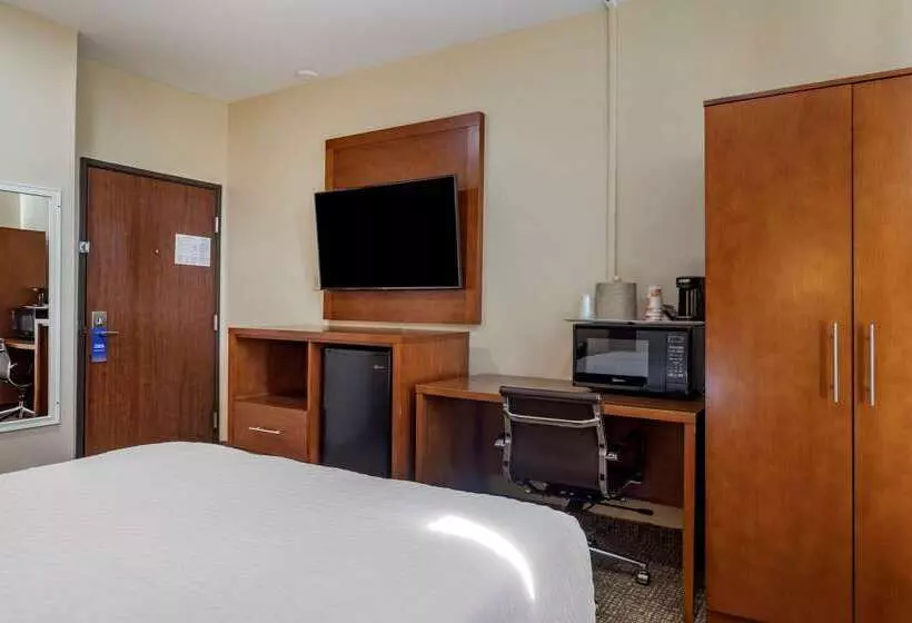 ホテル Comfort Suites Near Texas Medical Center  Nrg Stadium