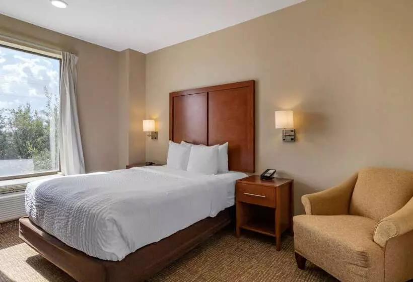 ホテル Comfort Suites Near Texas Medical Center  Nrg Stadium