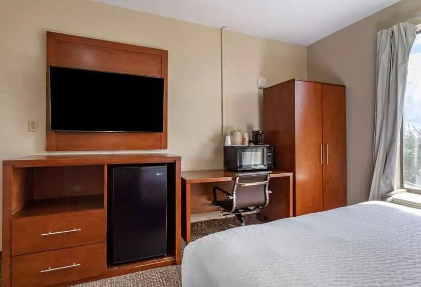 ホテル Comfort Suites Near Texas Medical Center  Nrg Stadium
