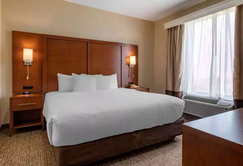 ホテル Comfort Suites Near Texas Medical Center  Nrg Stadium