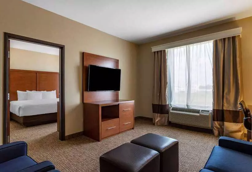 ホテル Comfort Suites Near Texas Medical Center  Nrg Stadium