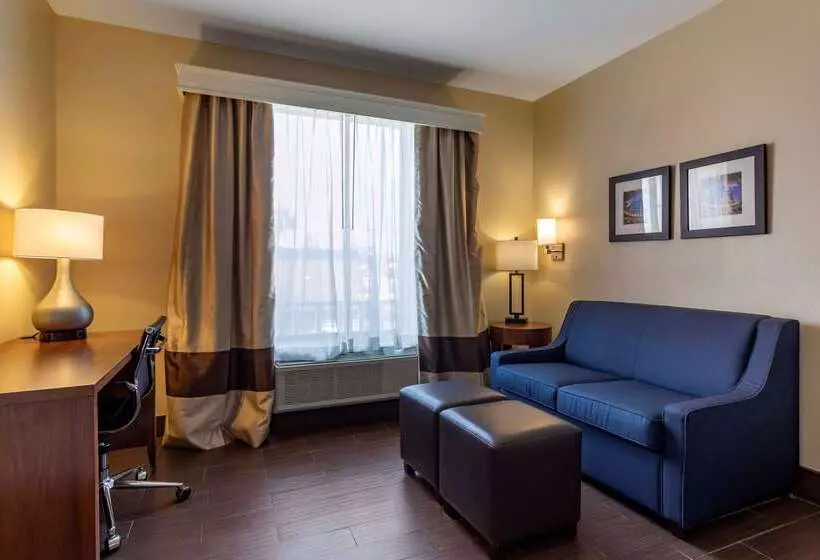 ホテル Comfort Suites Near Texas Medical Center  Nrg Stadium