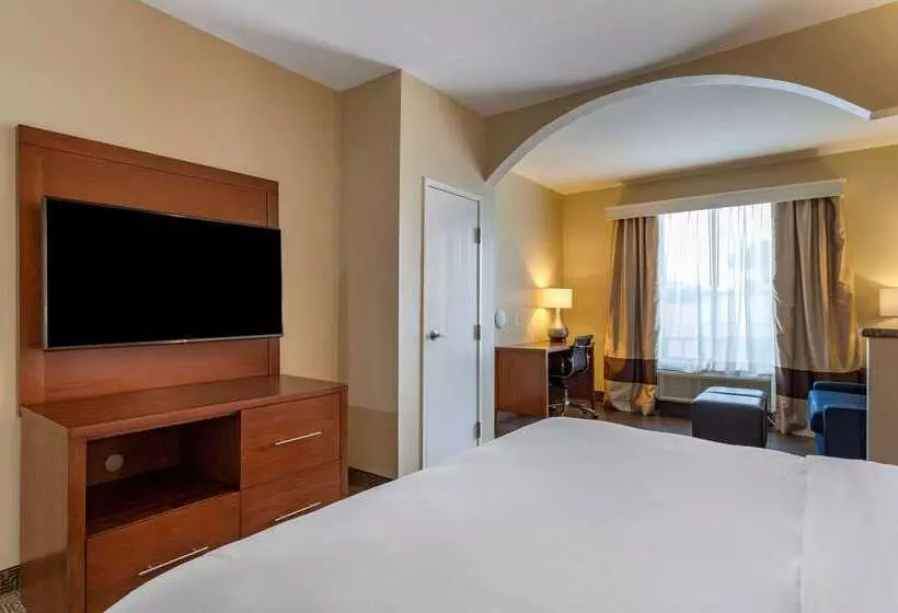 ホテル Comfort Suites Near Texas Medical Center  Nrg Stadium