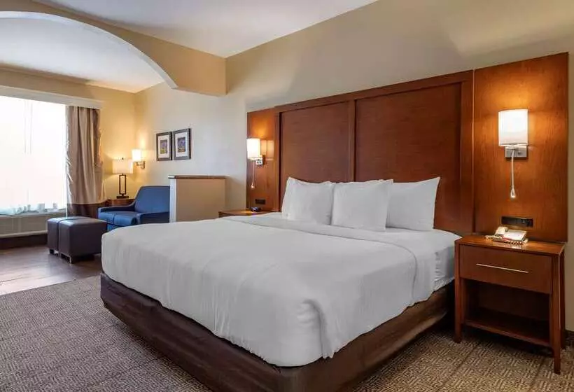 ホテル Comfort Suites Near Texas Medical Center  Nrg Stadium