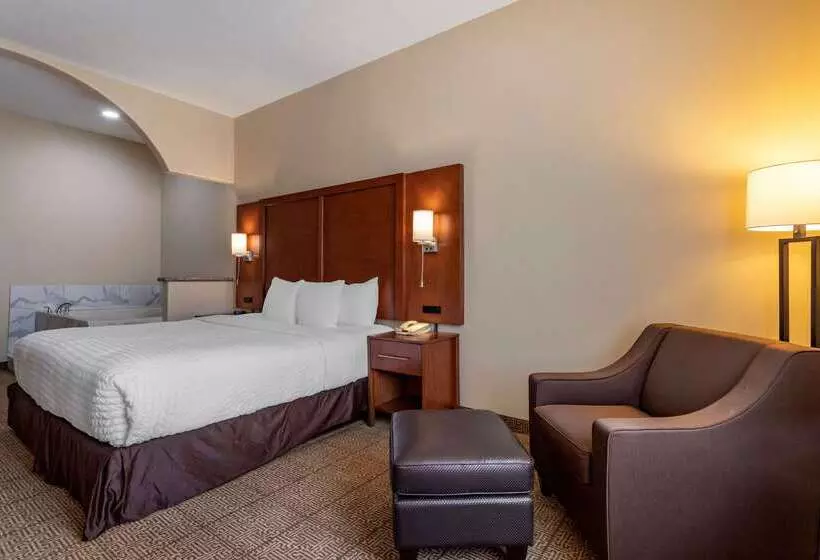 ホテル Comfort Suites Near Texas Medical Center  Nrg Stadium