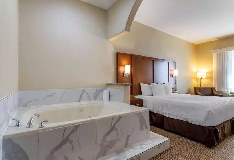 ホテル Comfort Suites Near Texas Medical Center  Nrg Stadium