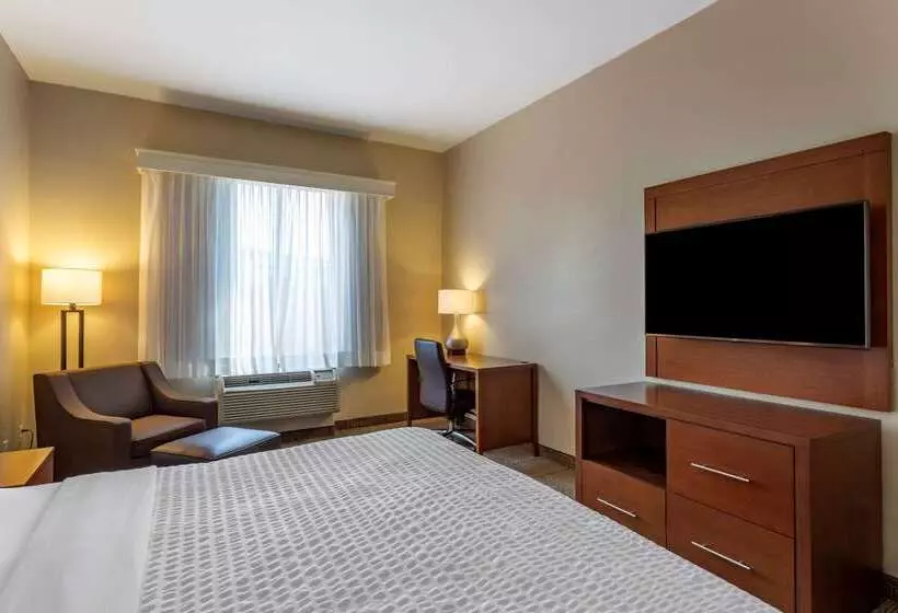 ホテル Comfort Suites Near Texas Medical Center  Nrg Stadium