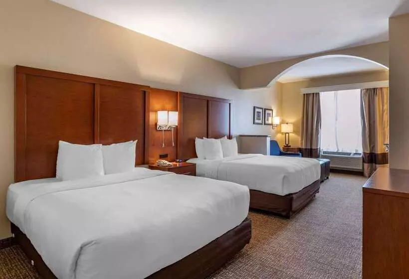 ホテル Comfort Suites Near Texas Medical Center  Nrg Stadium