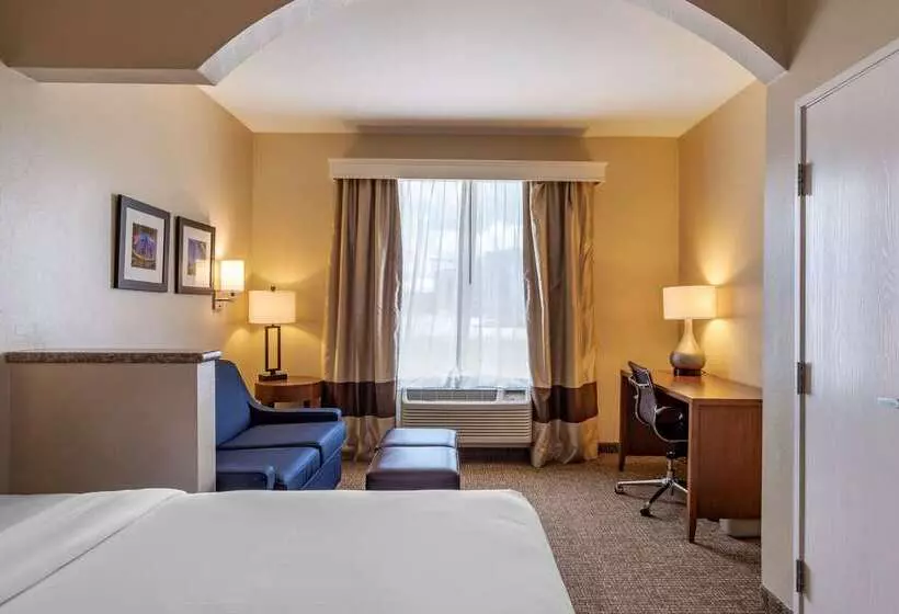 ホテル Comfort Suites Near Texas Medical Center  Nrg Stadium