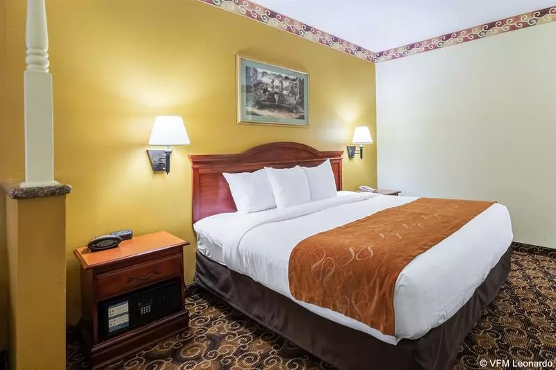 ホテル Comfort Suites Near Texas Medical Center  Nrg Stadium