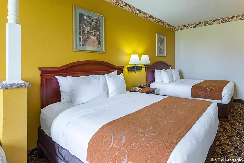 ホテル Comfort Suites Near Texas Medical Center  Nrg Stadium