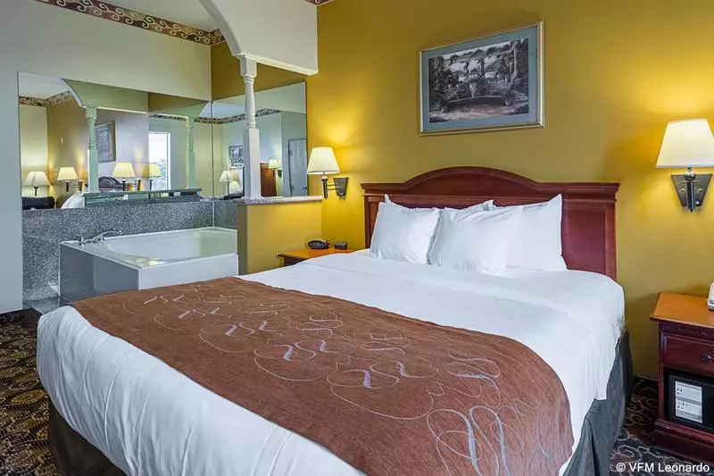 ホテル Comfort Suites Near Texas Medical Center  Nrg Stadium