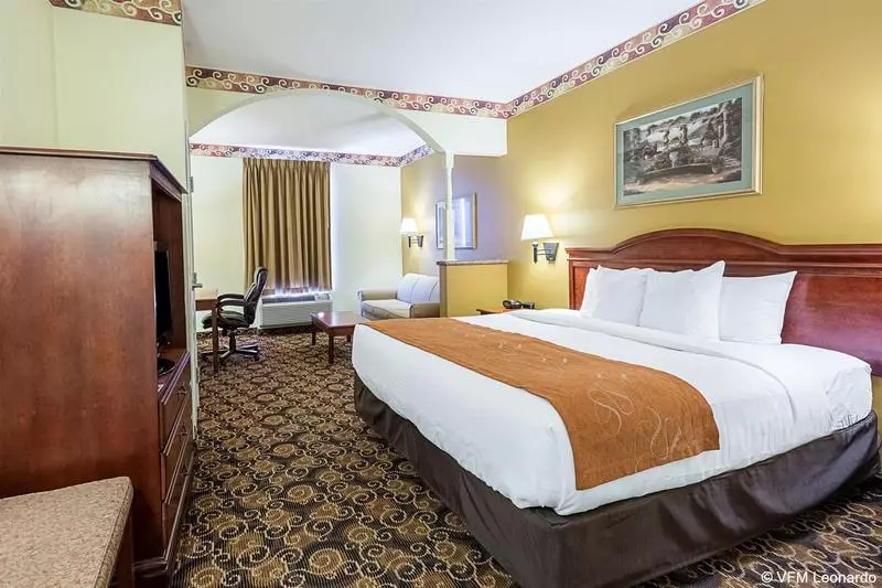 ホテル Comfort Suites Near Texas Medical Center  Nrg Stadium