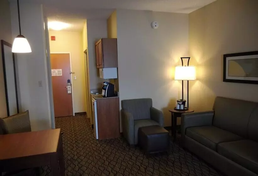 호텔 Holiday Inn Express & Suites Lancaster By Ihg