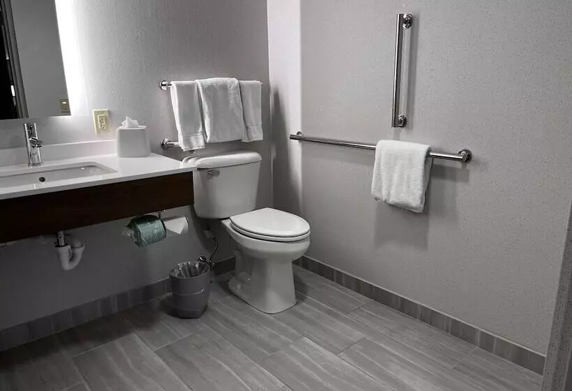 ホテル Holiday Inn Express & Suites Williamsport, An Ihg