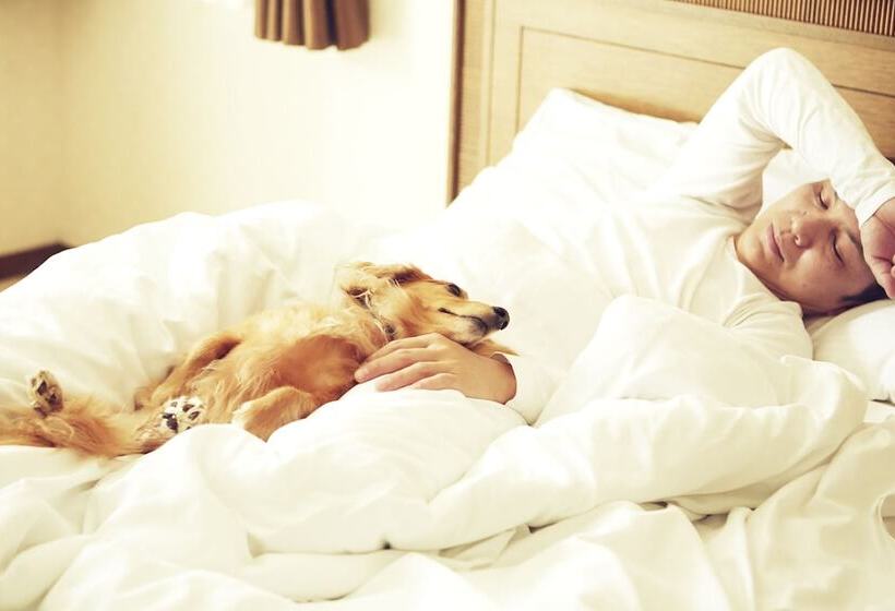 酒店 Luxze Hitotsuba/cottage Himuka