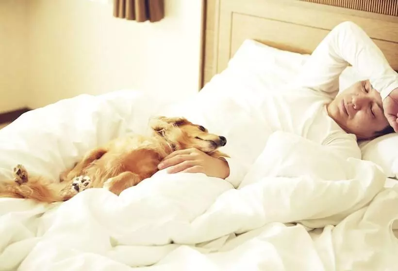 酒店 Luxze Hitotsuba/cottage Himuka