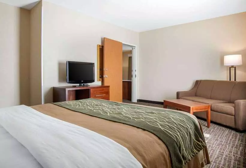 Отель Comfort Inn & Suites Norman Near University