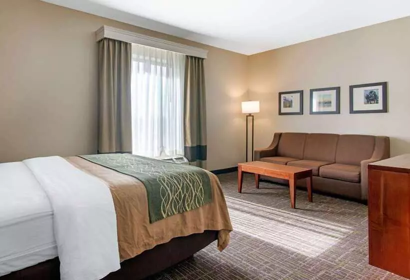 Отель Comfort Inn & Suites Norman Near University