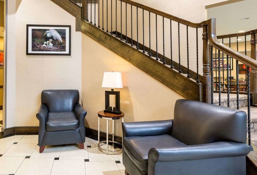 בית מלון כפרי Comfort Inn And Suites Winnie