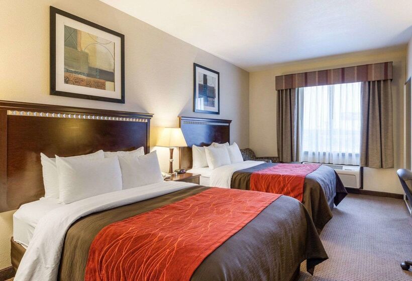 בית מלון כפרי Comfort Inn And Suites Winnie