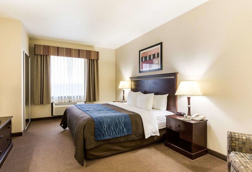 בית מלון כפרי Comfort Inn And Suites Winnie