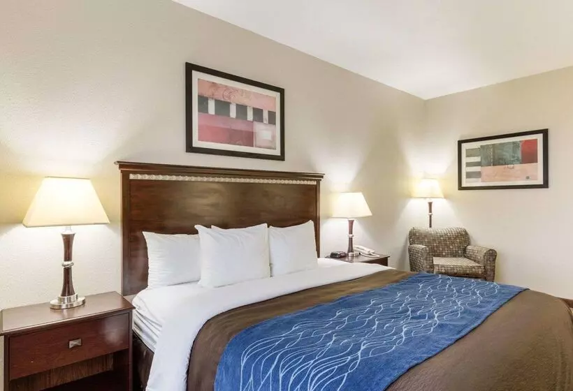 ホテル Comfort Inn And Suites Winnie