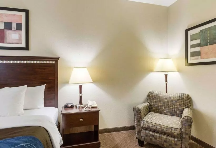 ホテル Comfort Inn And Suites Winnie