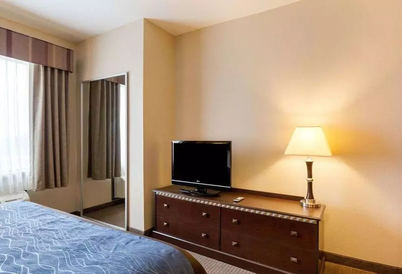 ホテル Comfort Inn And Suites Winnie