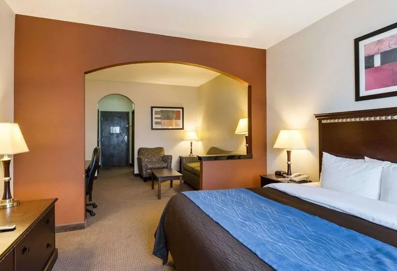 ホテル Comfort Inn And Suites Winnie