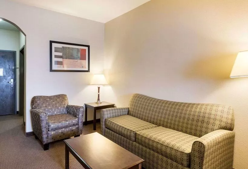 ホテル Comfort Inn And Suites Winnie