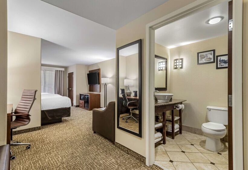 فندق Comfort Suites At Kennesaw State University