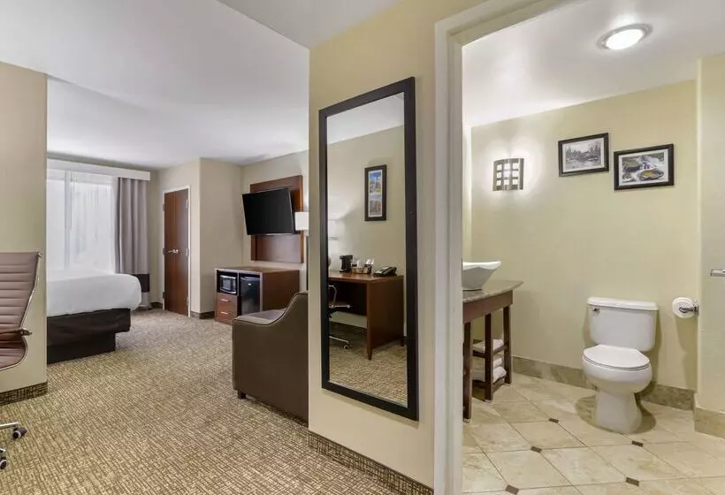 Hotelli Comfort Suites At Kennesaw State University